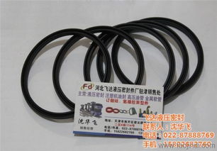 氣動(dòng)元件密封圈生產(chǎn)廠家,濟(jì)南氣動(dòng)元件密封圈,飛達(dá)液壓密封