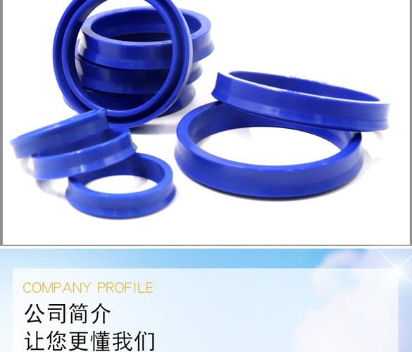 華奇工廠耐磨密封圈o型藍色氟膠橡膠idu高壓odu非標規(guī)格骨架油封